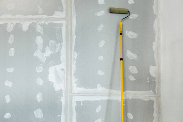 Best Mold Odor Removal Services  in Virginia, MN
