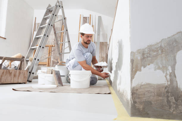 Mold Odor Removal Services in Virginia, MN