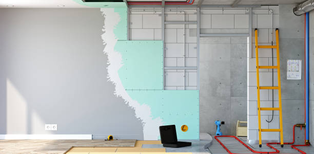 Best Attic Mold Removal  in Virginia, MN