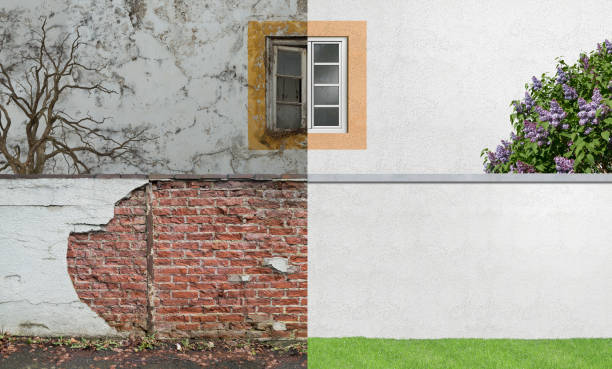 Reliable Virginia, MN Mold Removal Solutions