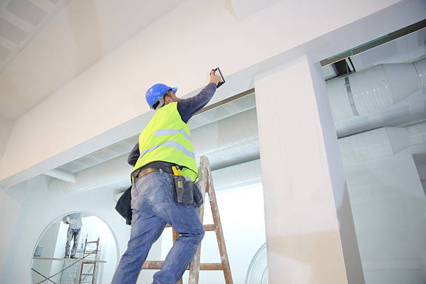 Best Commercial Mold Inspection  in Virginia, MN