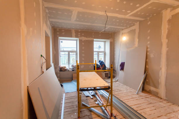 Best Dehumidification Services  in Virginia, MN