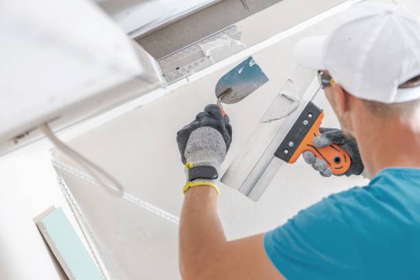 Best Mold Remediation for Healthcare Facilities  in Virginia, MN